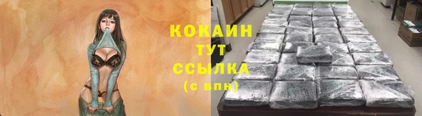 круглые Вяземский