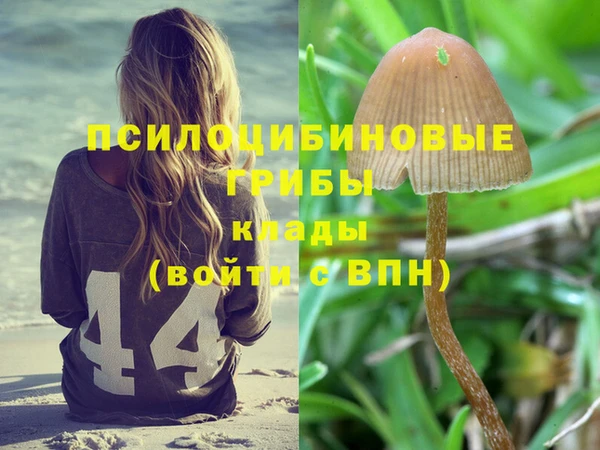 молекула духа Вязьма