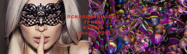 молекула духа Вязьма