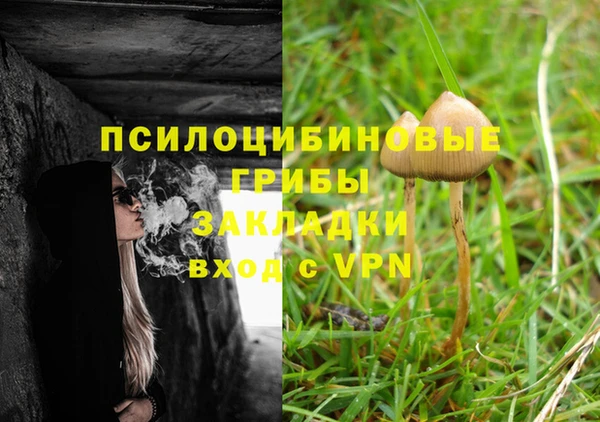 круглые Вяземский