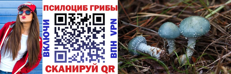 Галлюциногенные грибы мухоморы купить сайты Чишмы